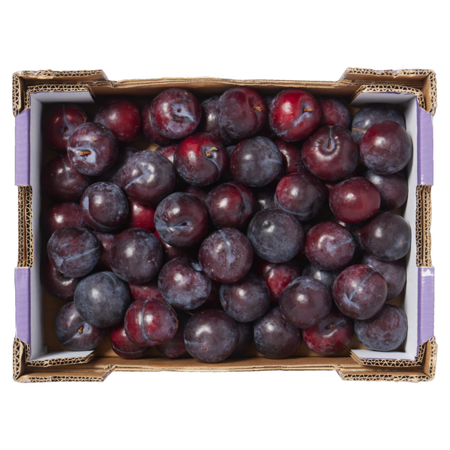 PLUMS RED IMPORT