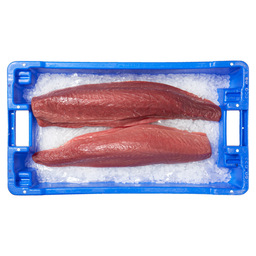 Tuna fillet european grade a+