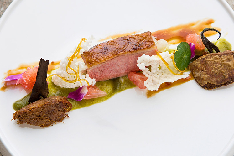 Canard fermier avec crème de chou vert