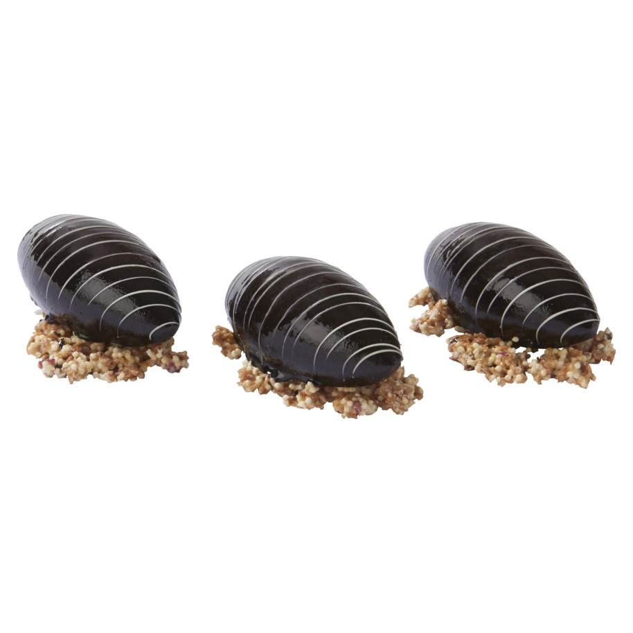 QUENELLE GROOT FRAMB.MOUSSE/CHOCO 85GR