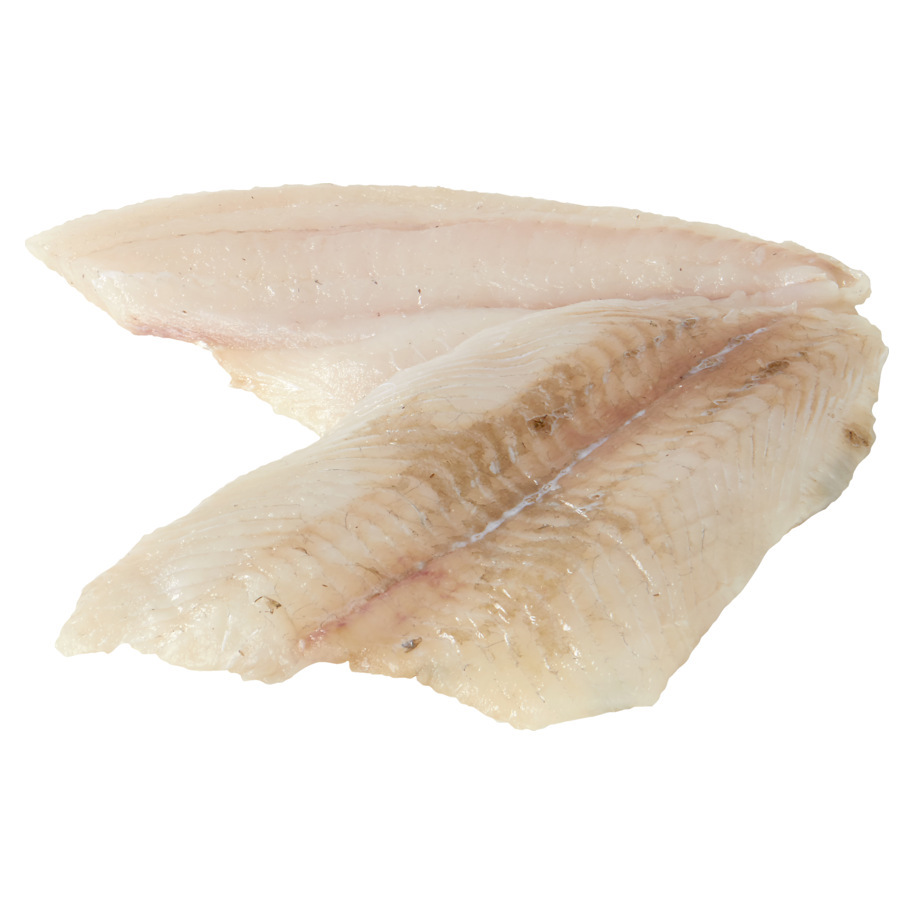 BRILL FILLET FROM BRILL 2 N/S
