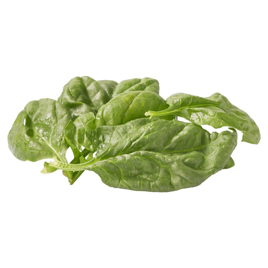 SPINACH BELGIAN
