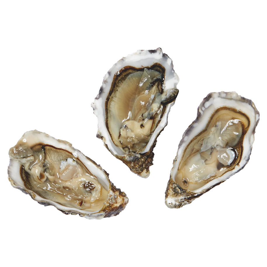 OESTERS ZOMER NR.3