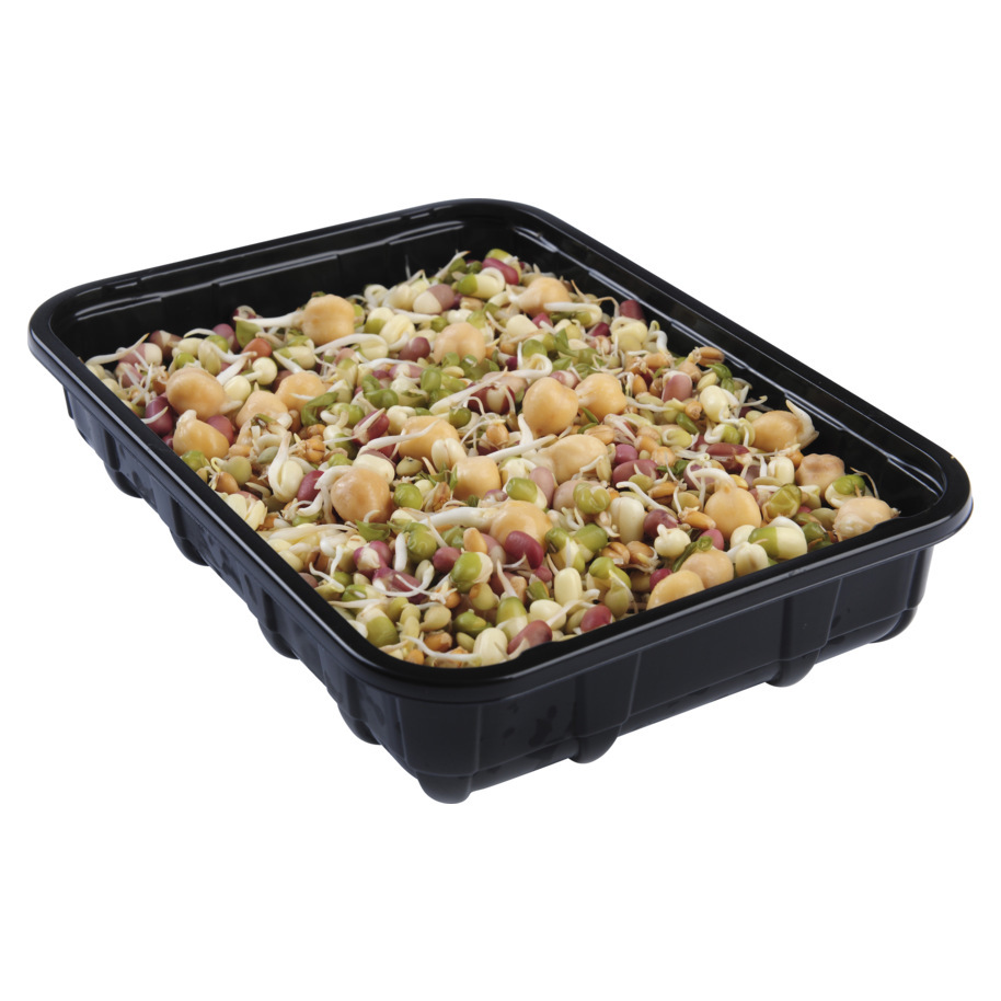 SPROUT MIX 200 GR. VERV. 34251659