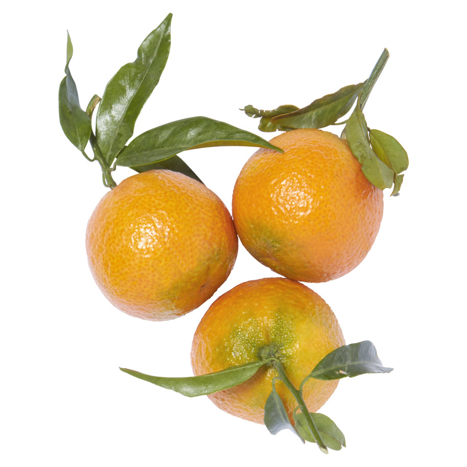 MANDARIN WITH LEAVE