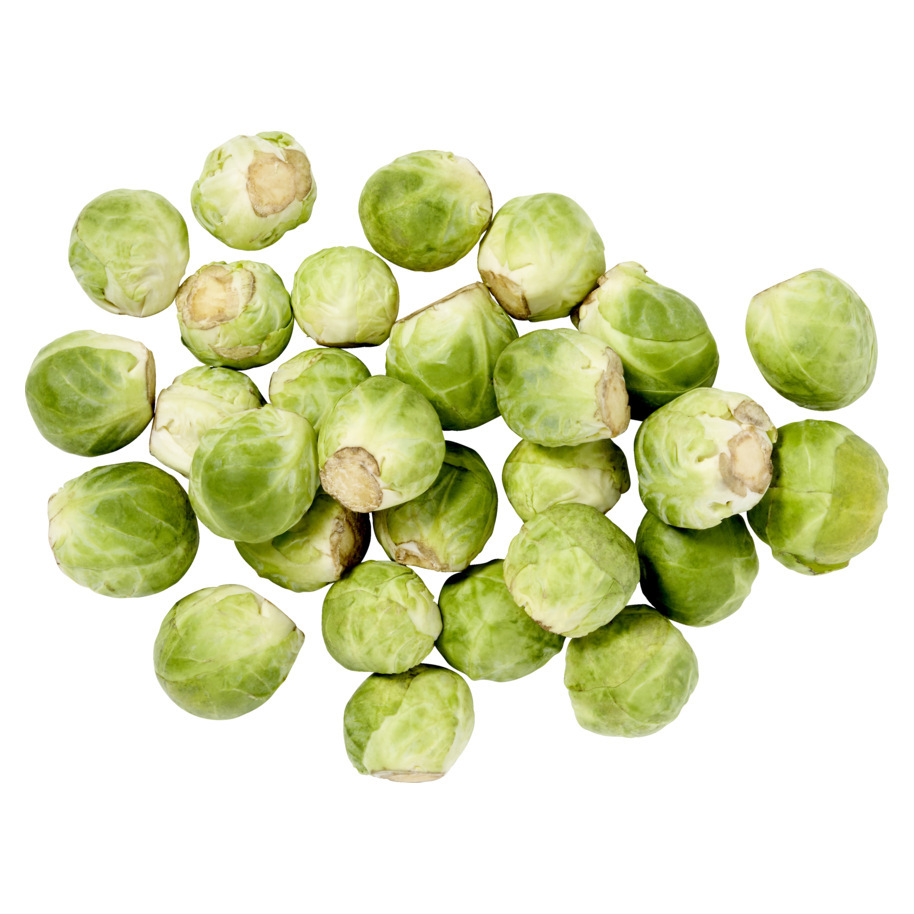 SPROUTS HOLLAND D 16-23 MM