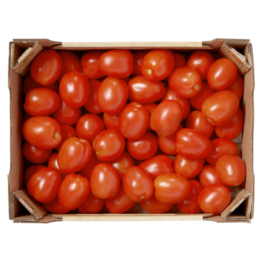 TOMATO CATERING FOOD SERVICE HOLLAND