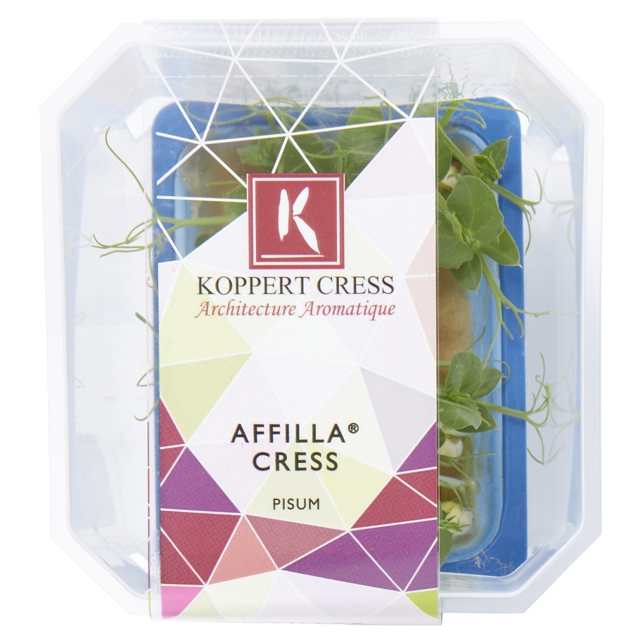 AFFILLA CRESS SINGLE BOX