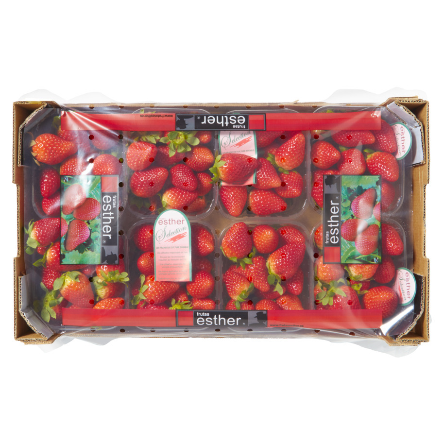 STRAWBERRY IMPORT SPAIN ESTHER