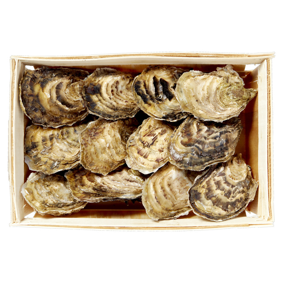 SPANISH OYSTERS