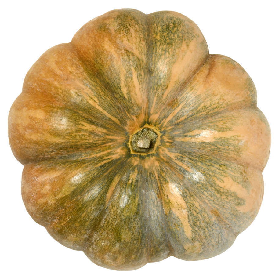 COURGE MUSCAT