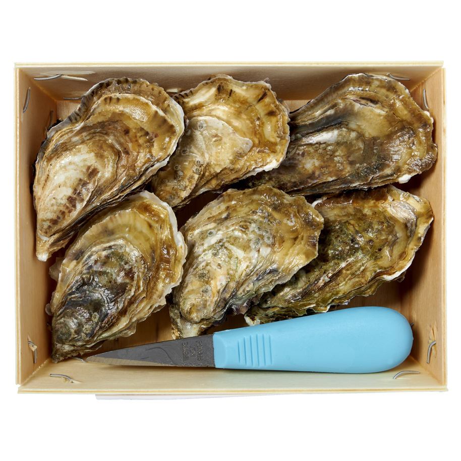OESTERS CAP HORN 6 ST + OESTERMES