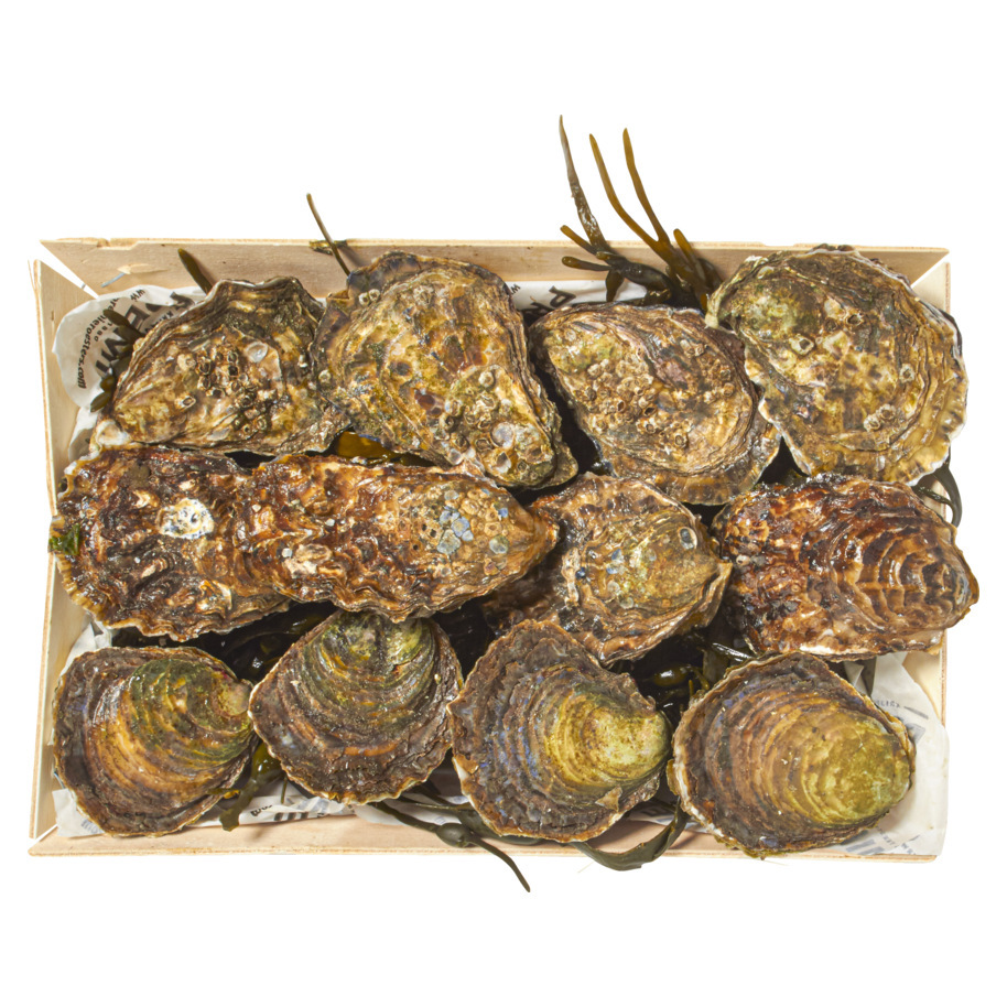 OYSTERS TASTING SELECTION 3X4 PC