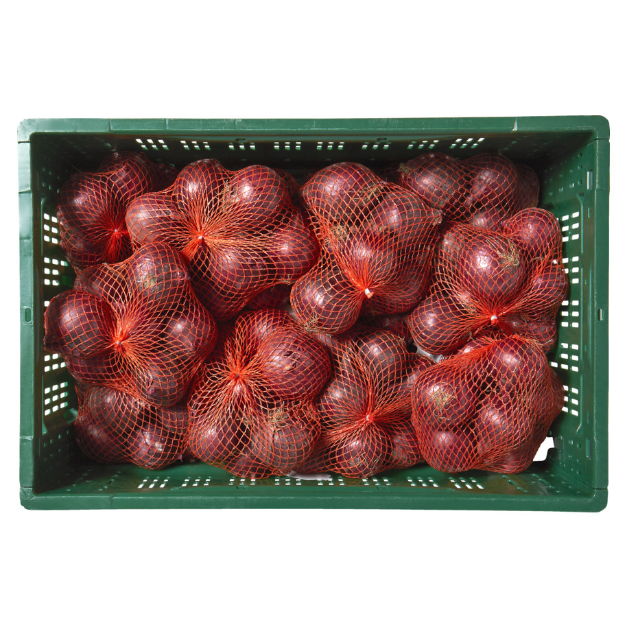 ONIONS RED PACKED HOLLAND
