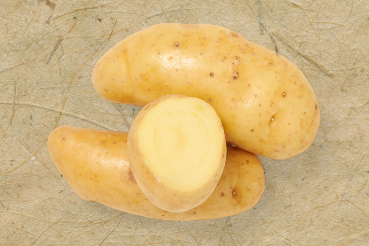 aardappel123