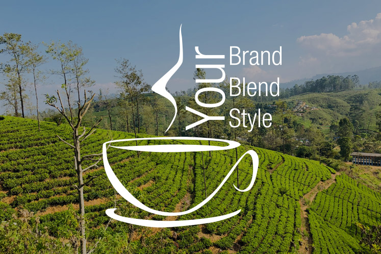 Tea Experience Your Brand