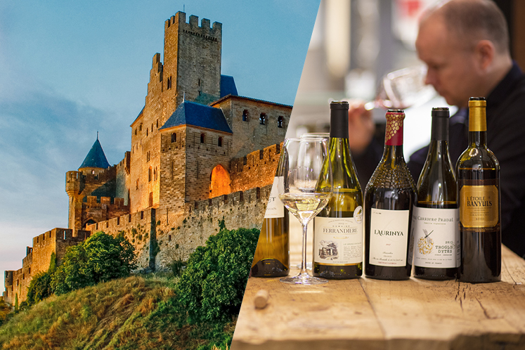 Wijnspecialisten over de Languedoc