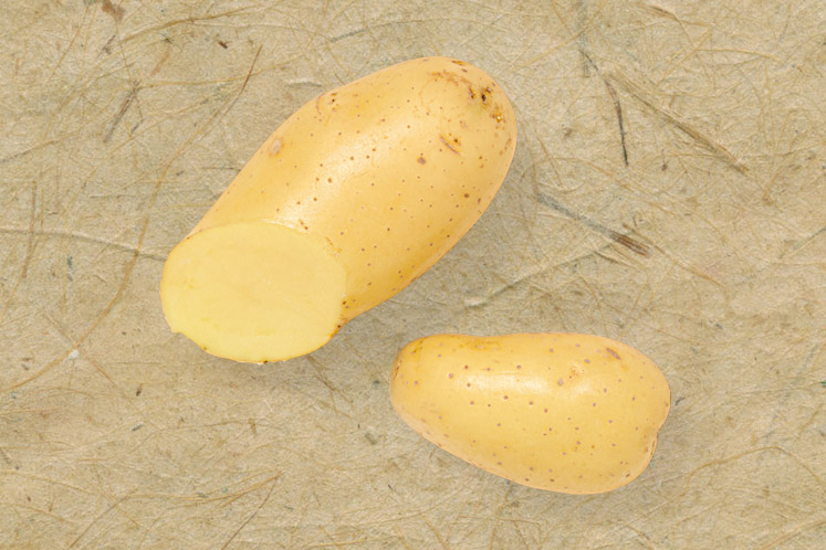 Charlotte aardappel