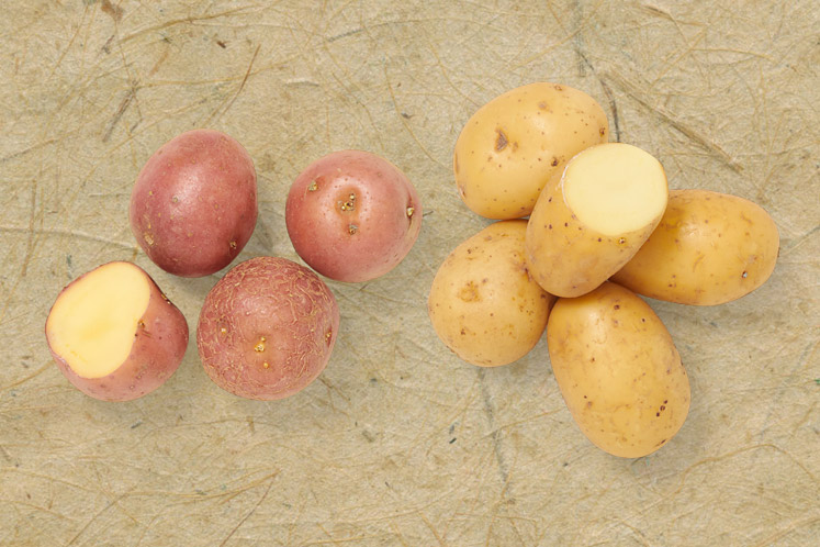 Krieltjes | Aardappelen