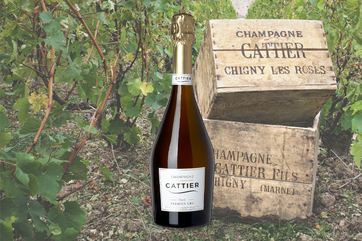 Cattier Brut Premier Cru | Mousserende wijn
