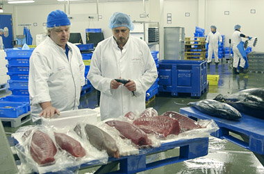Verklaring tonijn carpaccio