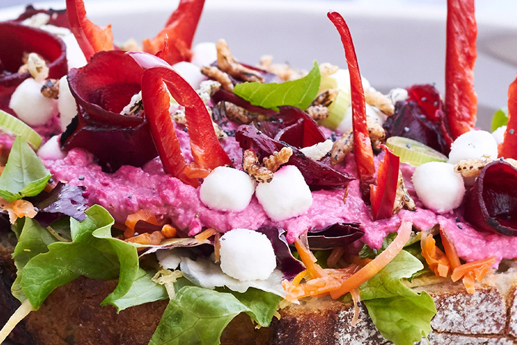 B'Rustiek brood rode biet & geitenkaas