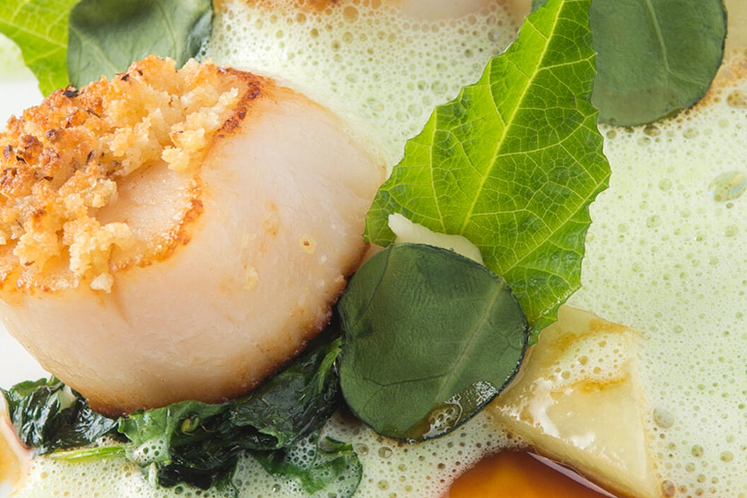 Coquille, salad pea, hazelnoot en gevogeltefond