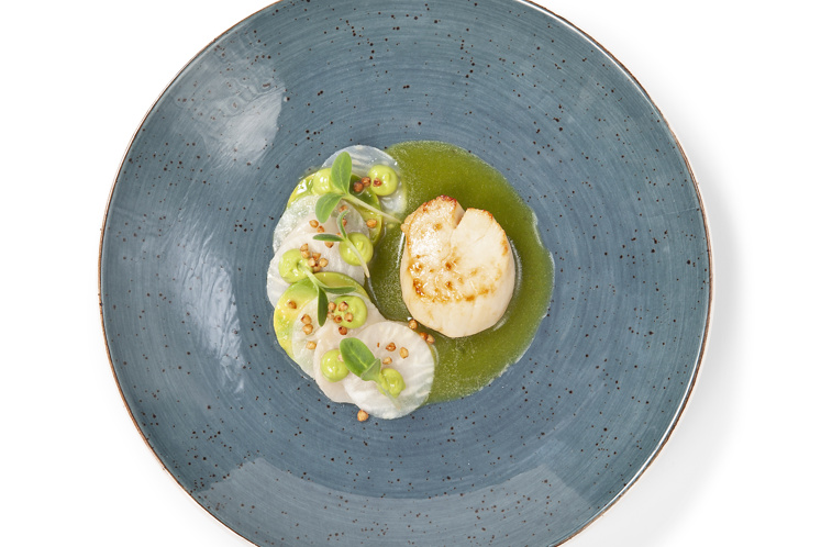 Coquille met knolselderij en avocado