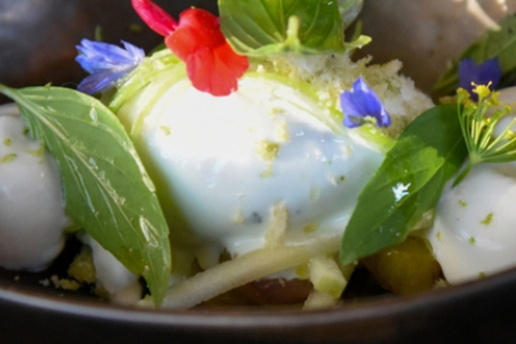 Van Zeeland naar Bali