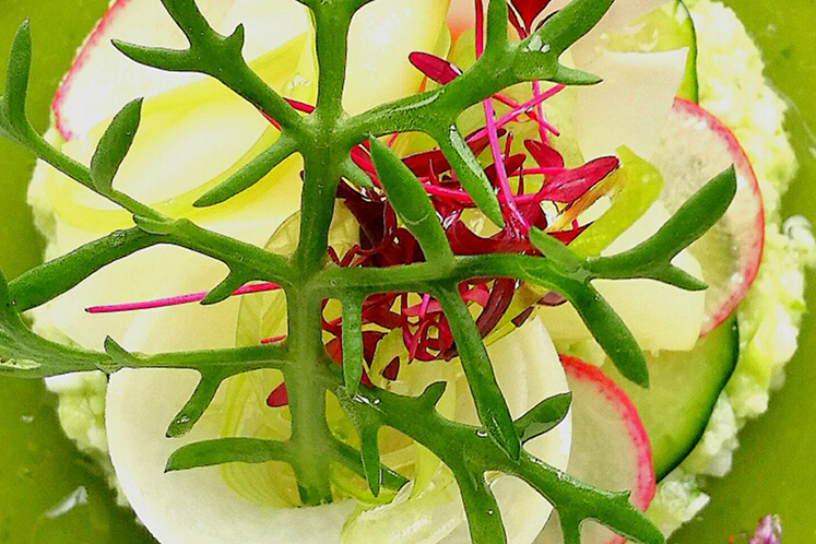 Borage pesto, daikon consommé en geschilde groenten