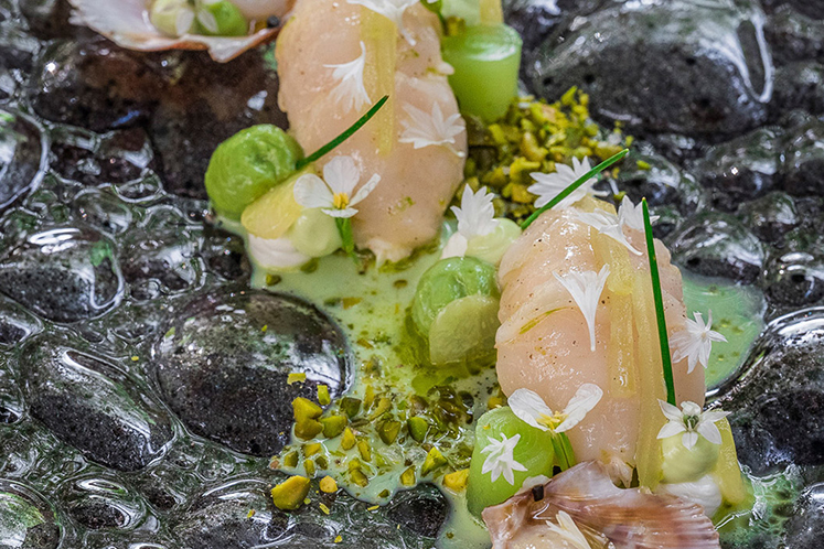 Sashimi van coquilles met Noordzeekrab