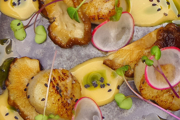 Coquille met shiitake