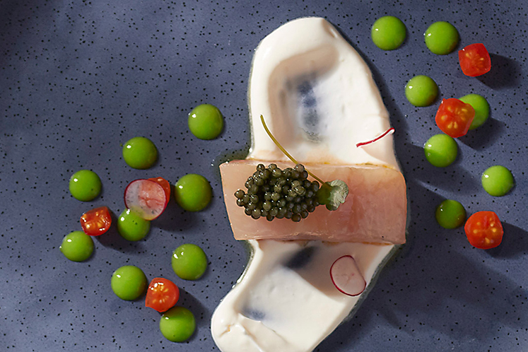 Ceviche van kingfish