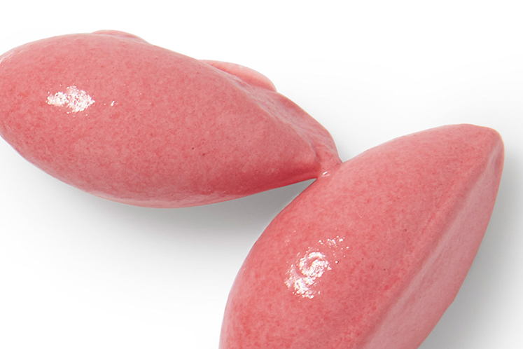 Sorbet van rode biet