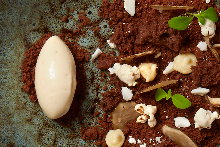 Structuren van topinamboer