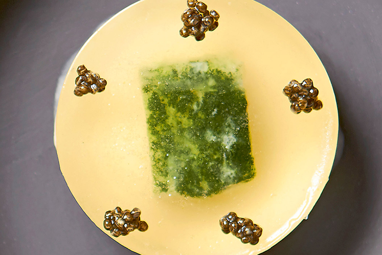 Tarbot met mousse van bloemkool & kombu