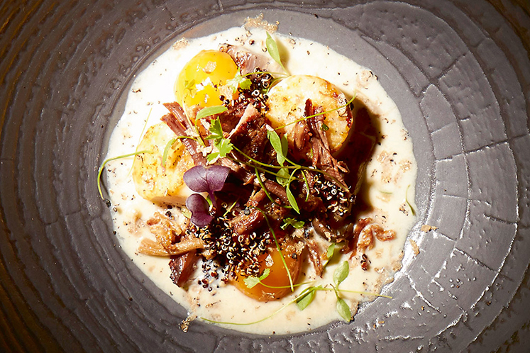 Wildzwijnnek met coquille, truffel en witlof