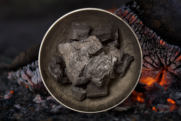 Gastro Houtskool | voor dichte barbecues en houtskoolovens | Verschillende soorten houtskool