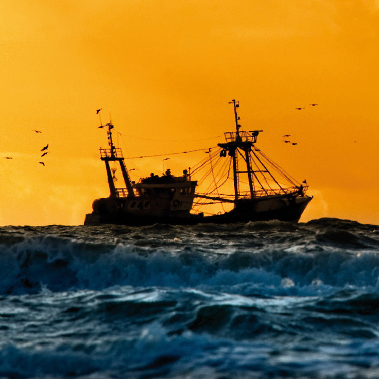 Beste vissers Hollandse vissersvloot