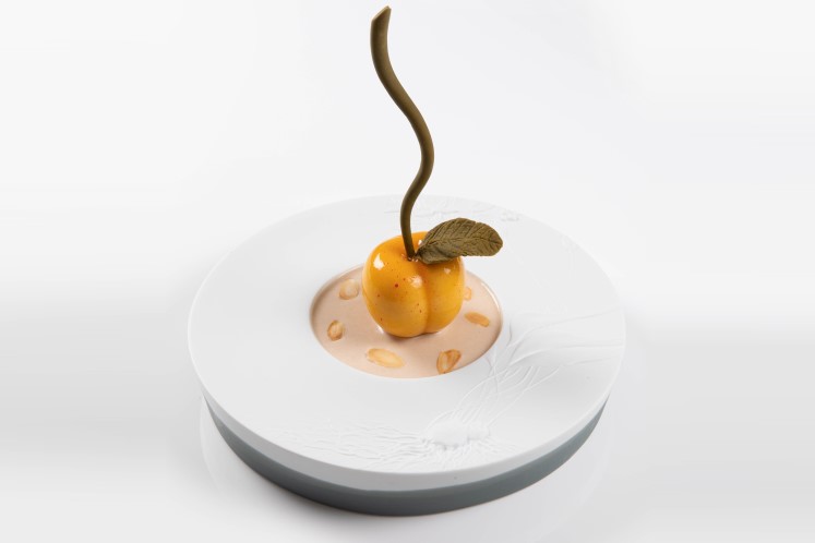 Fruit van de boomgaard met Abrikoos