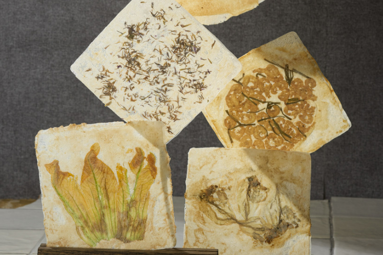 Vier Zubereitungen von Japanese Cracker — image