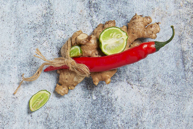 Rendang von Kalbsbäckchen mit Panna Cotta von Spitzpaprika — extra image
