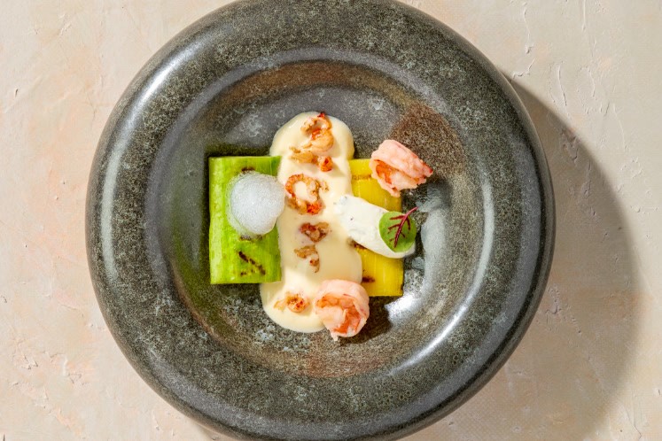 Courgette met gezouten yoghurt, gamba en rivierkreeft