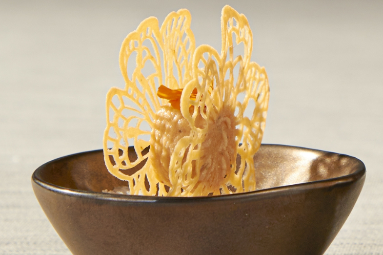 Hartige koekjes van zalm