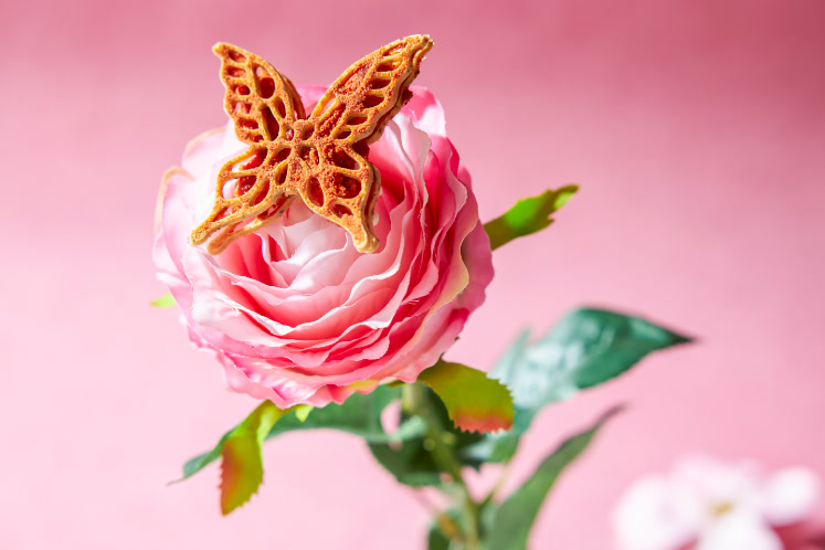 Vlinder van Mediterraanse kruiden