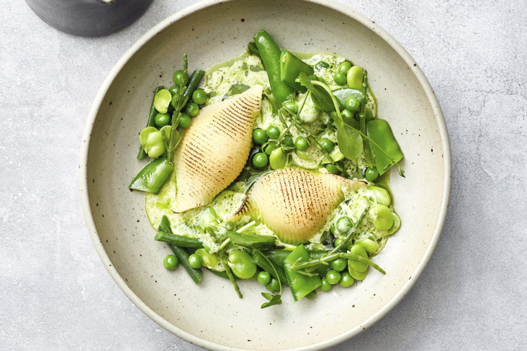 Pastaschelpen gevuld met zalmmousseline