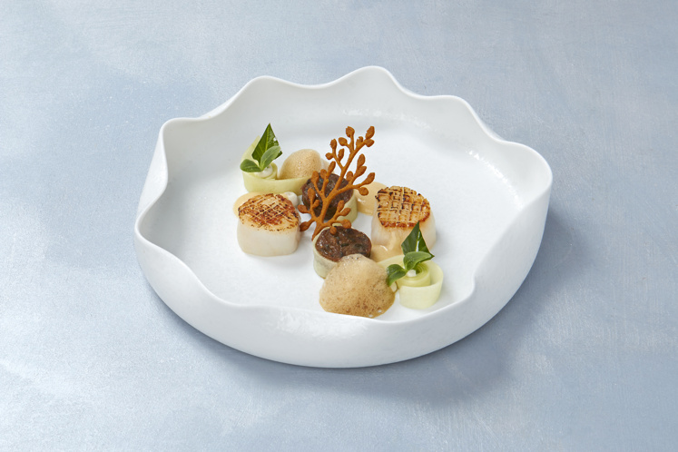 Coquilles courgette witte chocolade