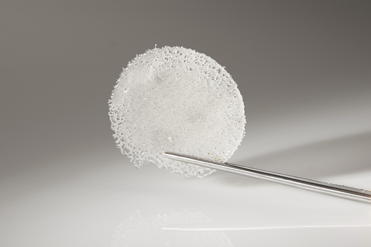 Suikertuille met vanille