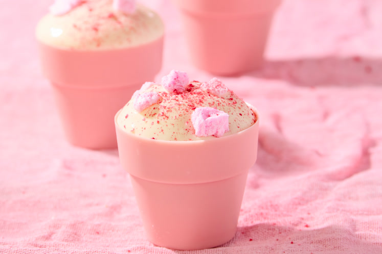 Chocolade bloempotje gevuld met fruitsalade, granité, flugel en schuim