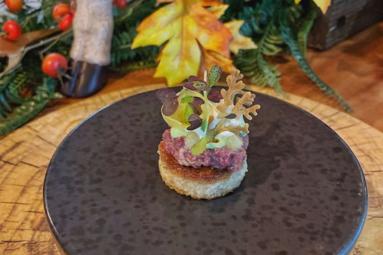 Tartaar van Nieuw-Zeelands hert